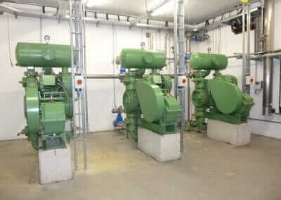 Piston Diaphragm Pumps